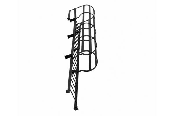 Cage Ladders